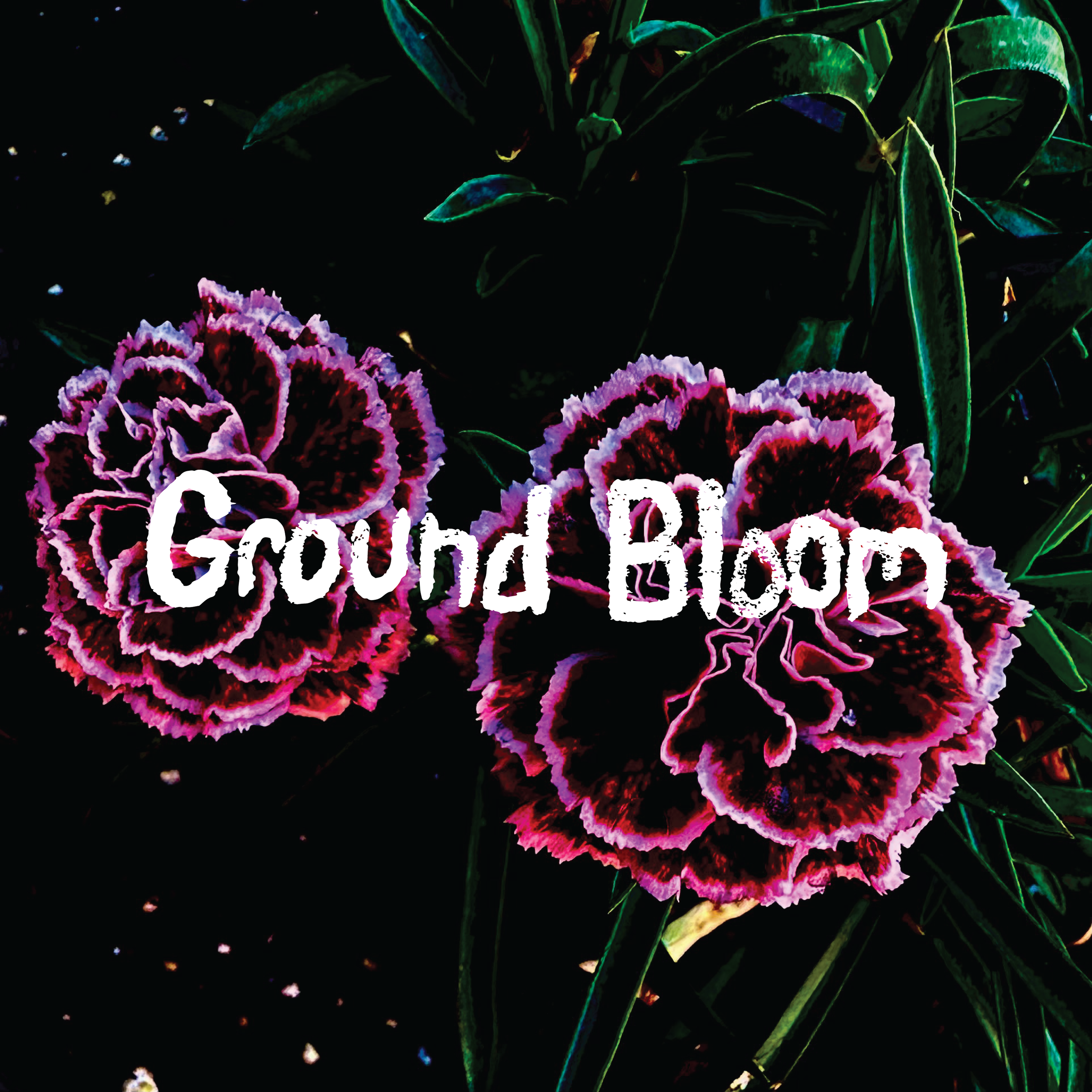 Magenta — Click to read track notes